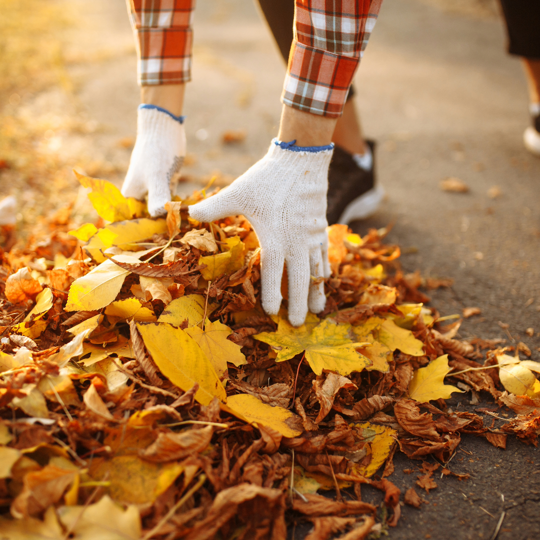 Preparing Your Yard for Winter: A Comprehensive Clean-Up Guide