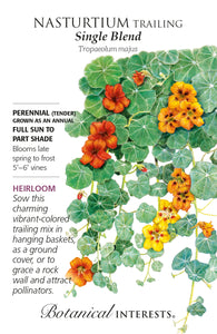 Nasturtium - Trailing Single Blend