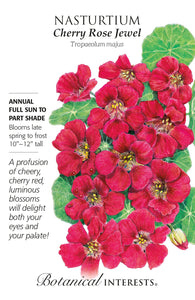 Nasturtium - Cherry Rose Jewel