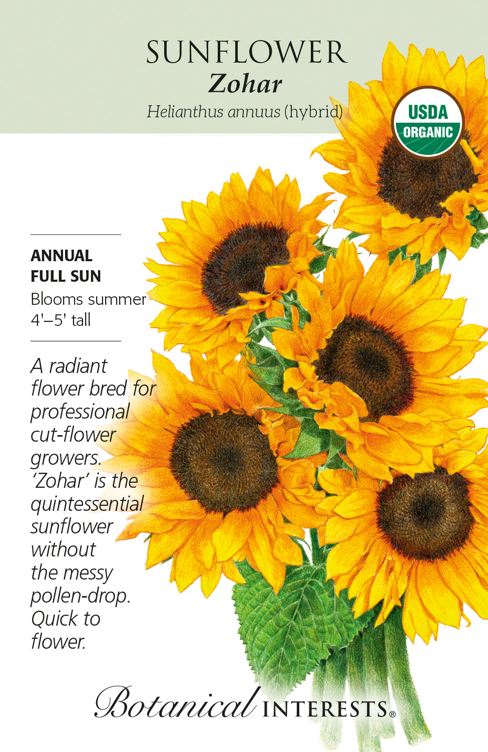 Sunflower - Zohar Hybrid Organic