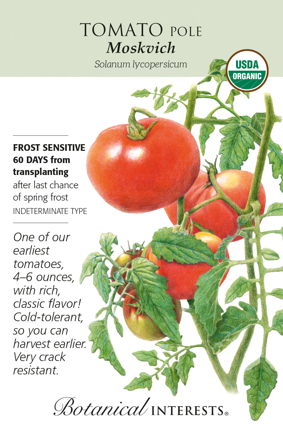 Tomato (Pole) - Moskvich Organic