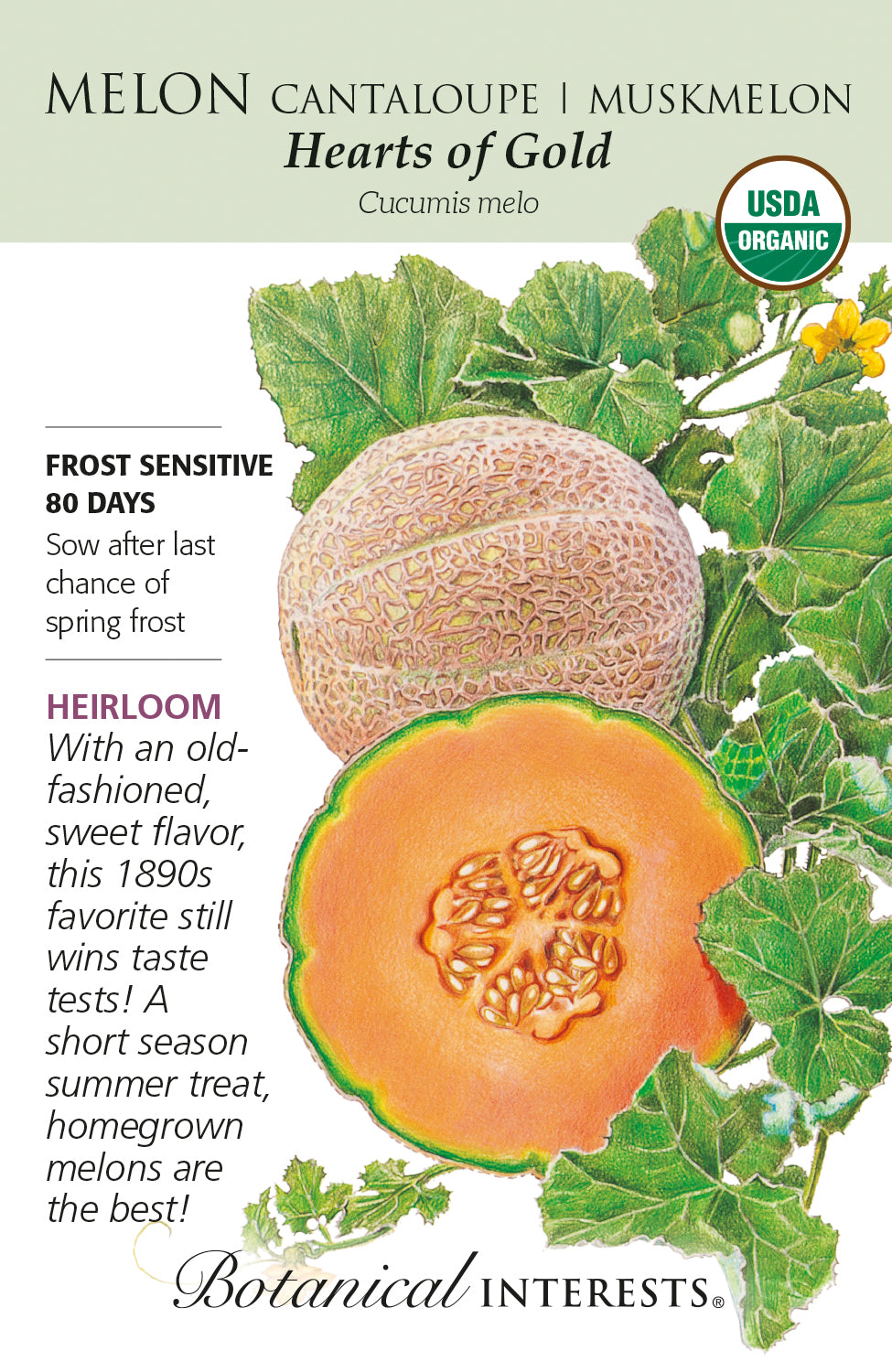 Melon - Hearts of Gold Organic