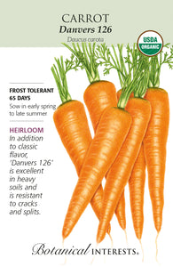 Carrot - Danvers Organic