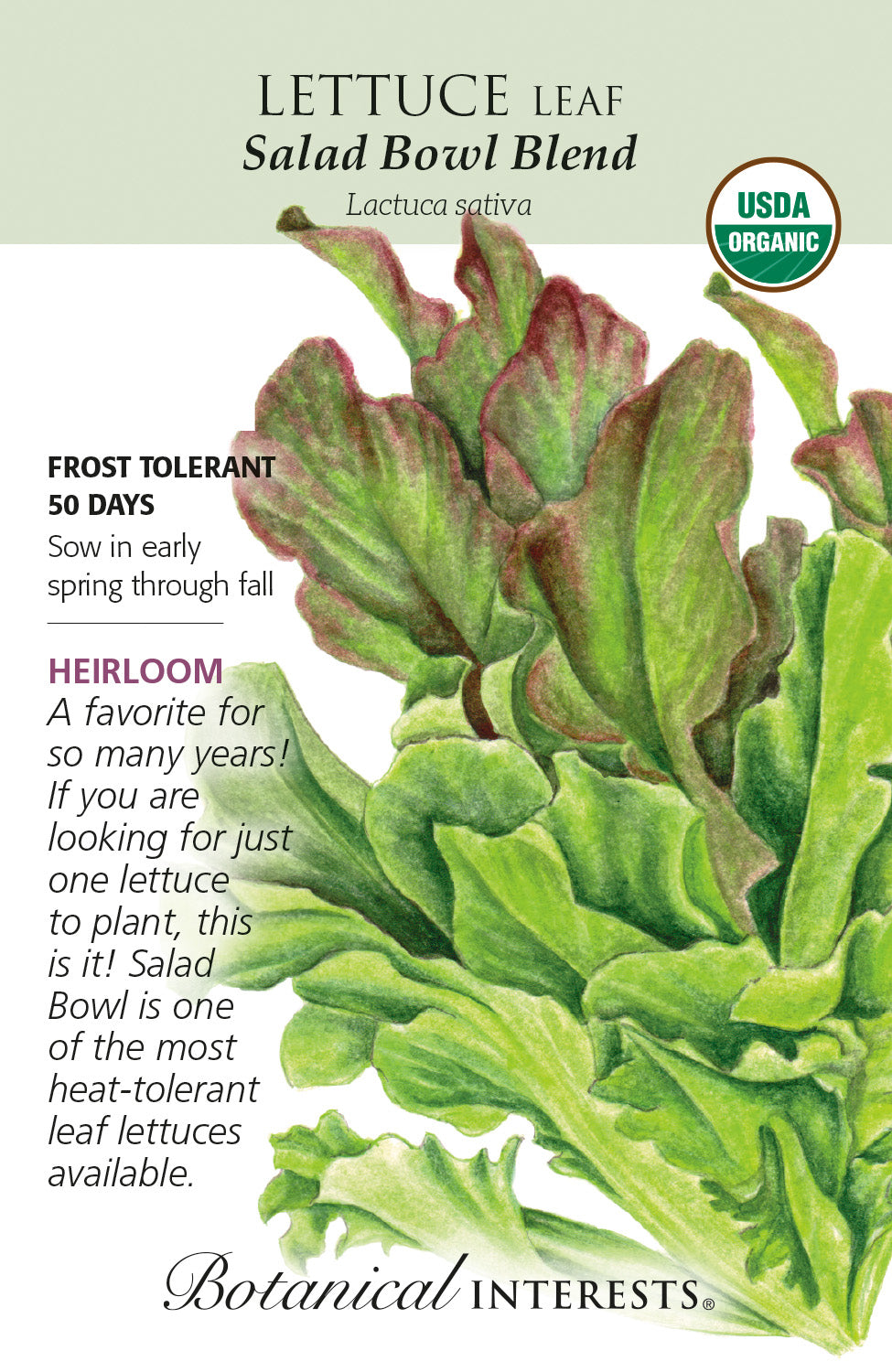 Lettuce (Leaf) - Salad Bowl Blend Organic