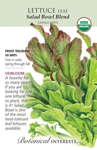 Lettuce (Leaf) - Salad Bowl Blend Organic