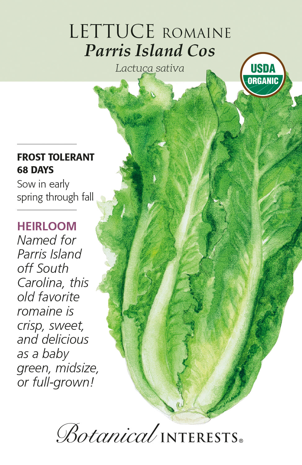 Lettuce - Romaine Parris Island Organic