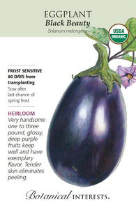 Eggplant - Black Beauty Organic