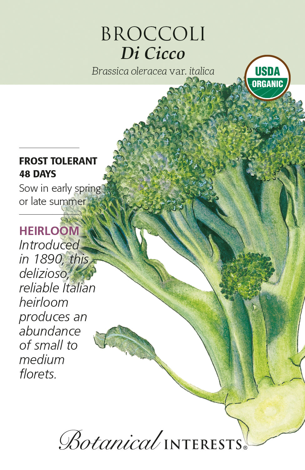 Broccoli - Di Cicco Organic