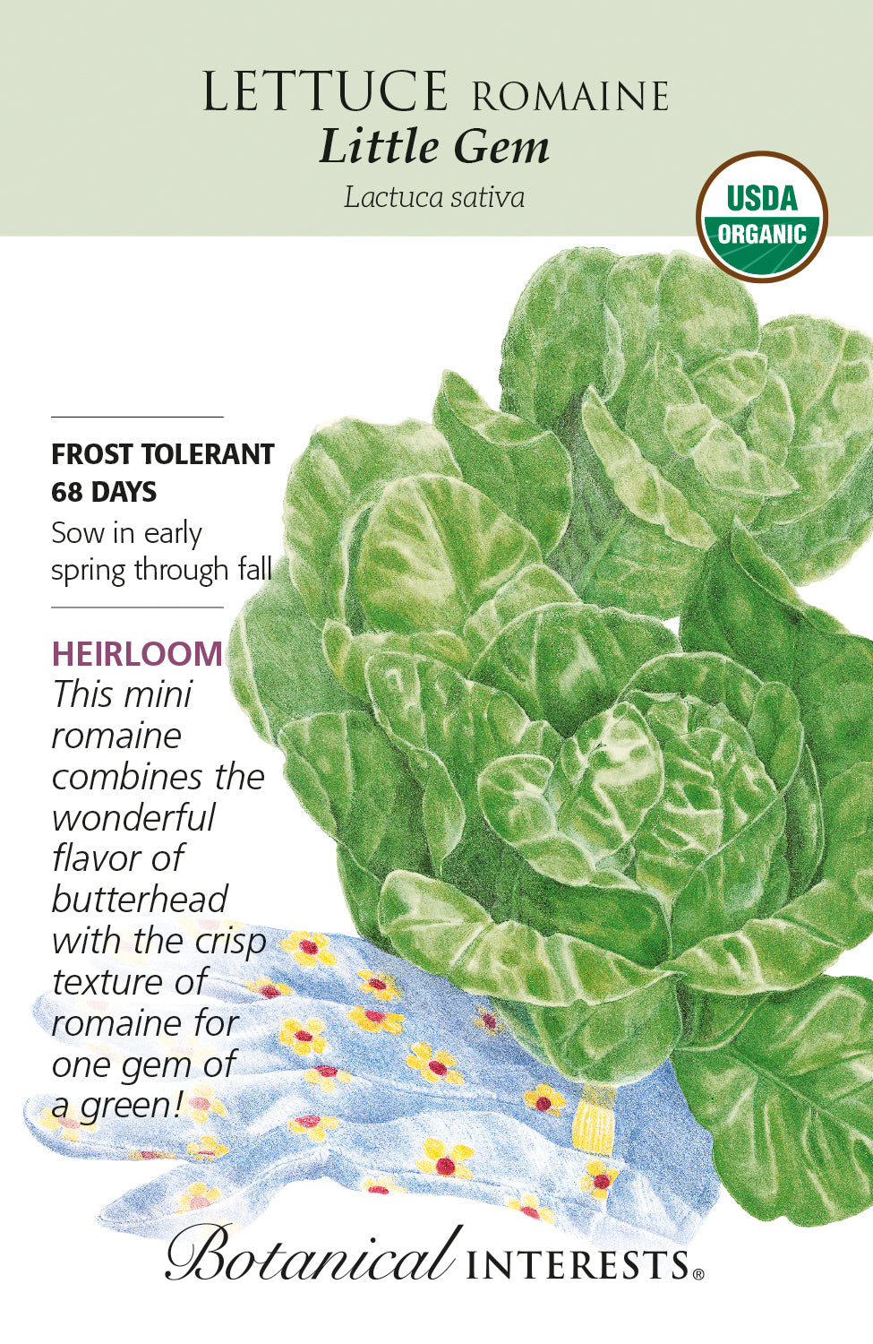 Lettuce - Romaine Little Gem Organic