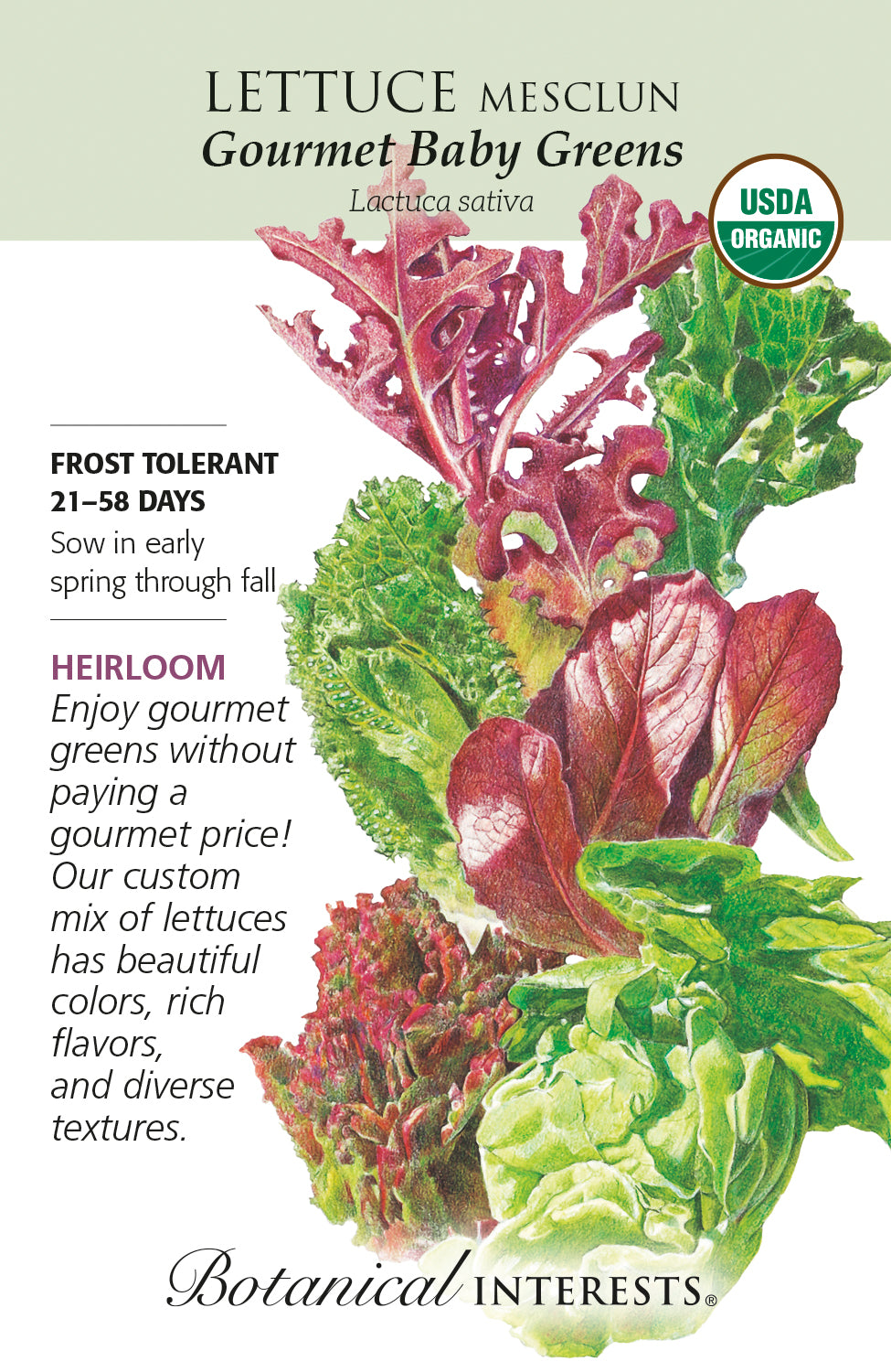 Lettuce - Mesclun Gourmet Baby Organic