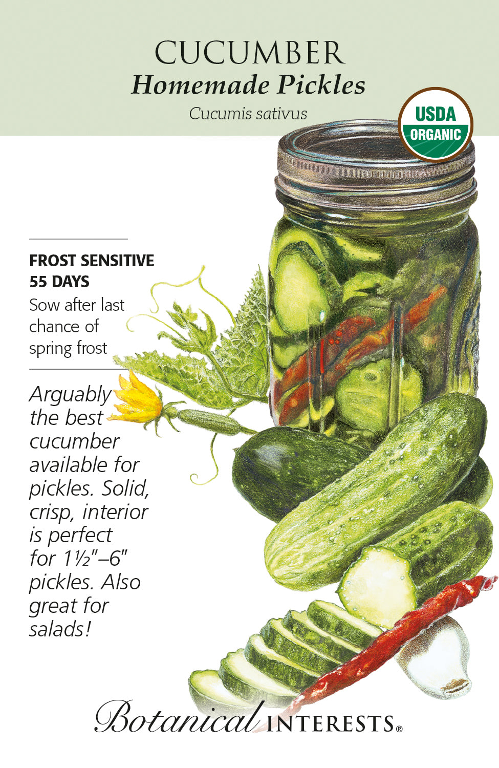 Cucumber - Homemade Pickles Organic