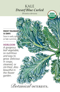 Kale - Dwarf Blue Curled Organic