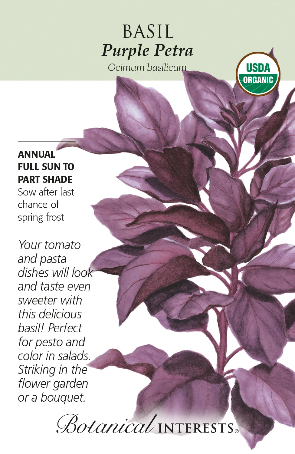 Basil (Purple) - Petra Organic