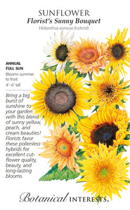 Sunflower - Florist's Bouquet Hybrid