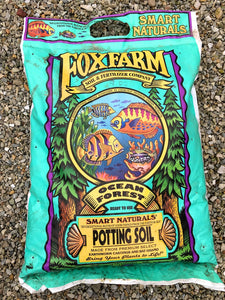 FoxFarm Ocean Forest Potting Soil 12 qts.