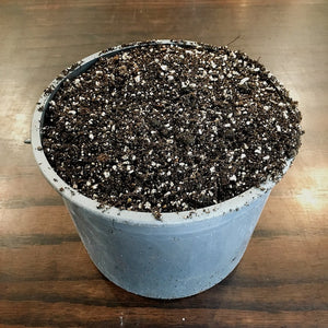 Vern Goers Potting Soil Mix - 1 Scoop (4 qts.)
