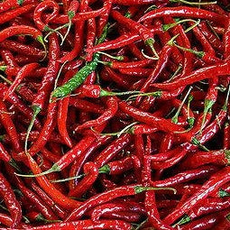 Pepper Cayenne Large Red Thick