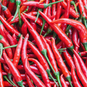 Pepper Red Chili