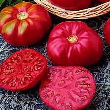 Tomato Caspian Pink