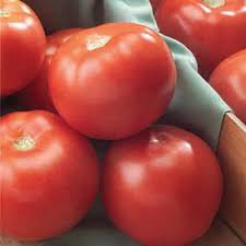 Tomato Florida 47 Hybrid
