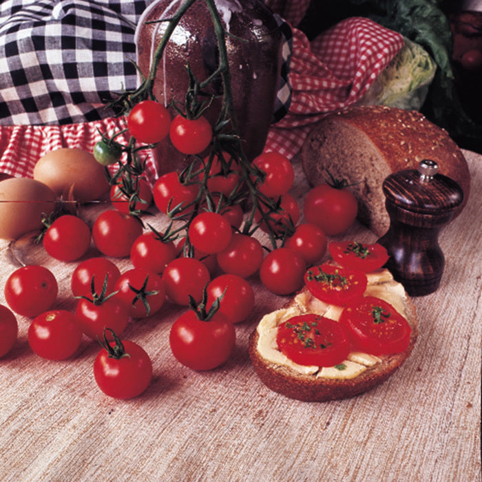 Tomato Gardener's Delight