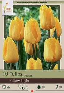 Tulip Yellow Flight