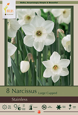 Narcissus Stainless