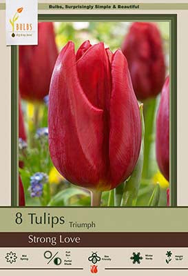 Tulip Strong Love