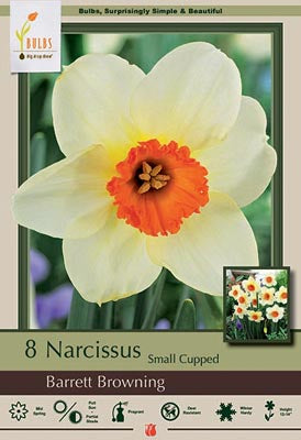 Narcissus Barrett Browning