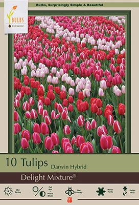 Tulip Delight Mixture
