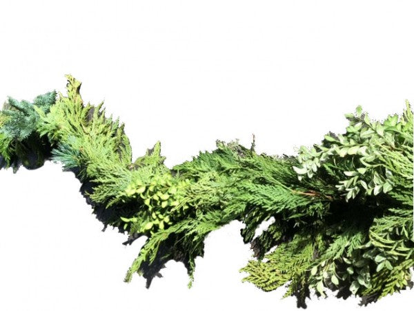 Premium Classic Garland 25' Box